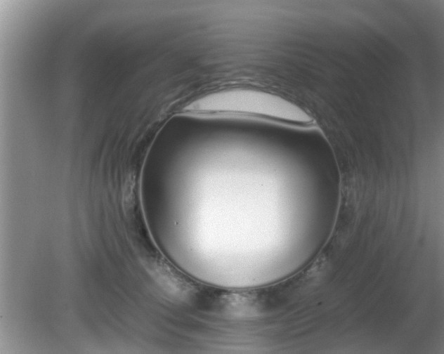 X0000081490660200701191900