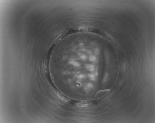 X0000081490661200701191900