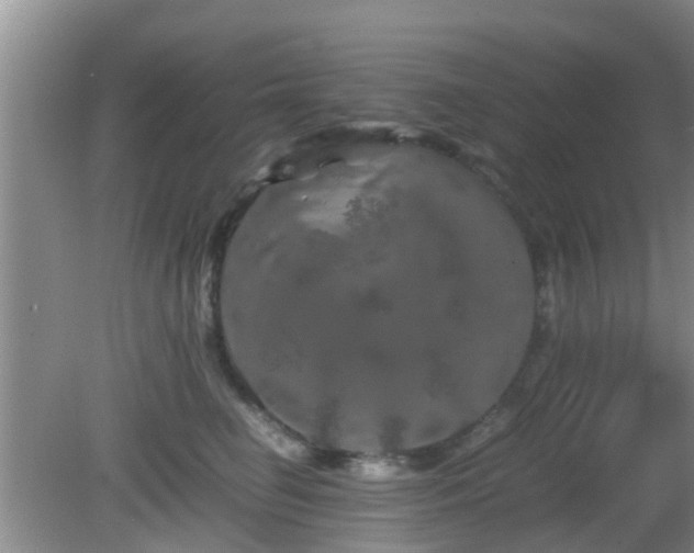 X0000081490662200701191900