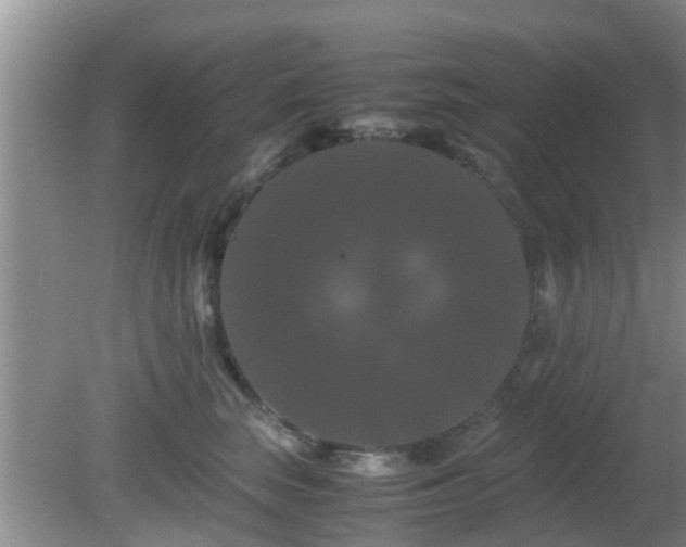 X0000081490663200701191900