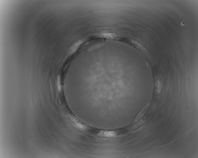 X0000081490665200701191900