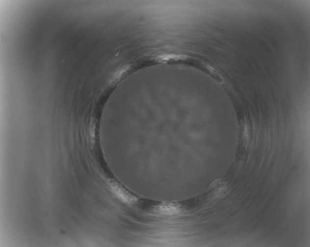 X0000081490668200701191900