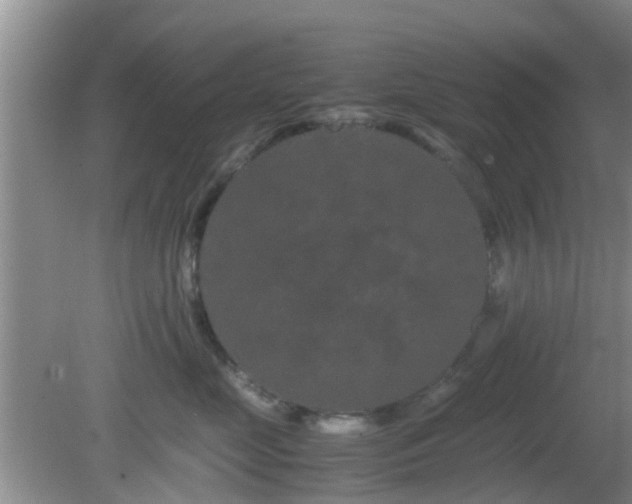 X0000081490669200701191900