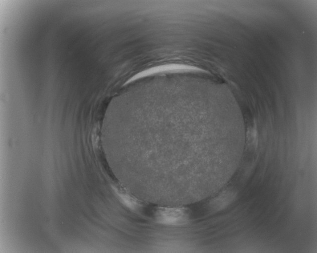 X0000081490671200701191900