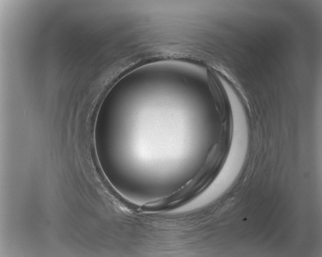 X0000081490673200701191859