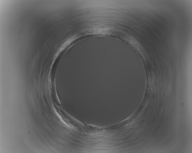 X0000081490674200701191859