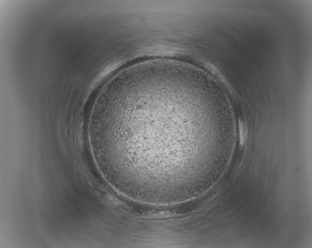 X0000081490675200701191859