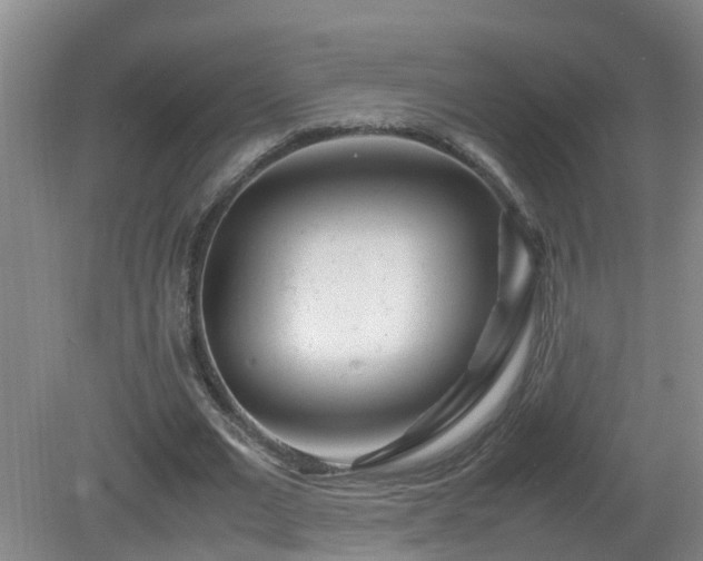 X0000081490677200701191859