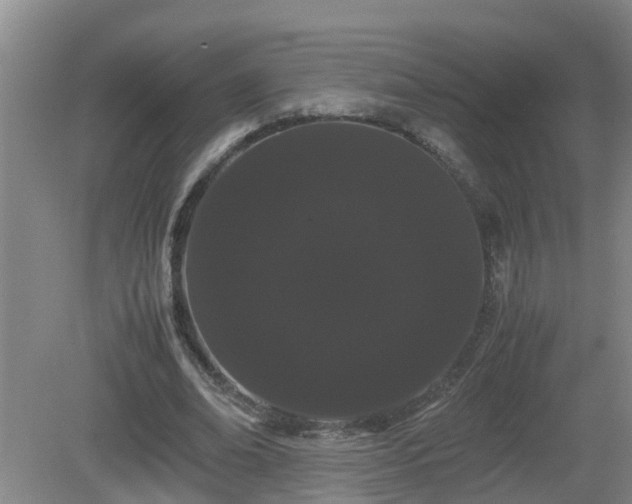 X0000081490678200701191859