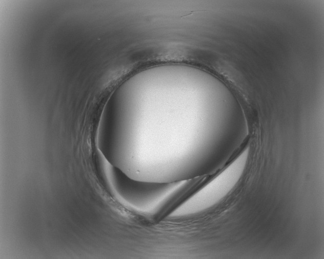 X0000081490681200701191859