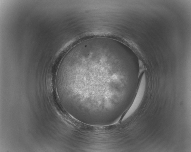 X0000081490684200701191859