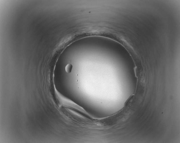 X0000081490685200701191859