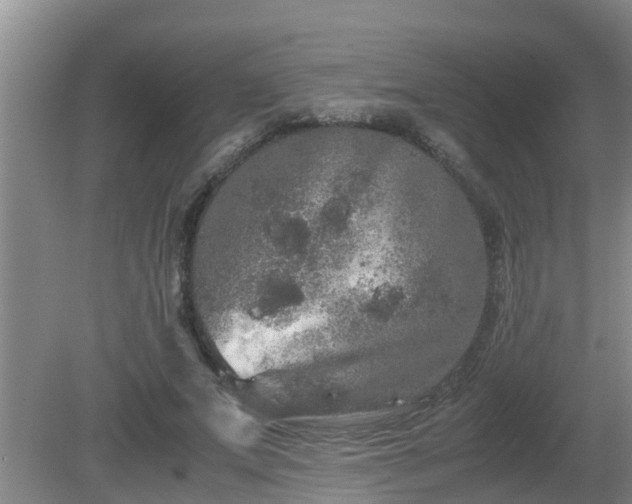 X0000081490687200701191859