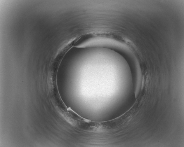 X0000081490688200701191859