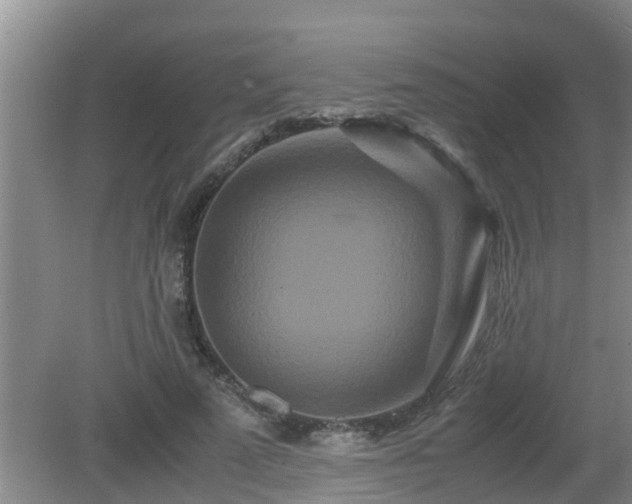 X0000081490689200701191859