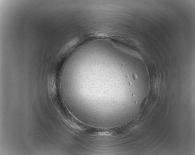 X0000081490692200701191859