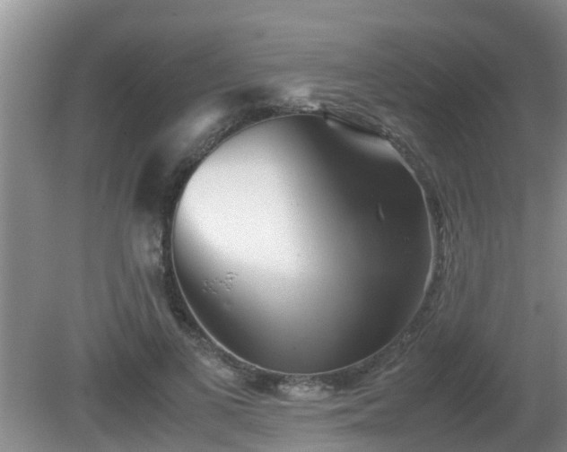 X0000081490693200701191859