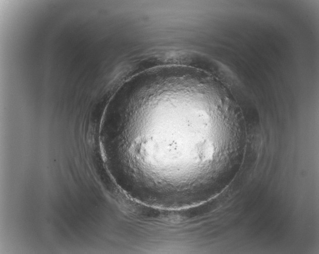 X0000081490695200701191859