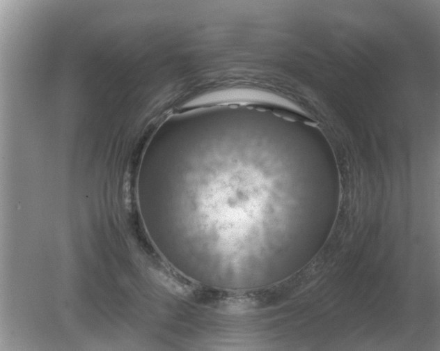 X0000081490696200701191859