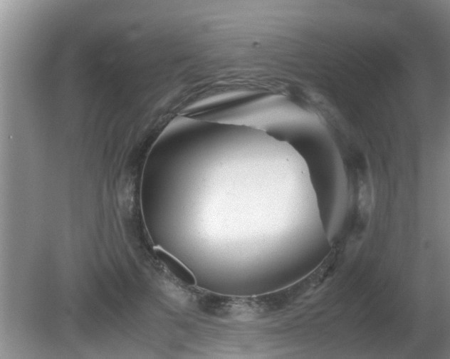 X0000081490697200701191859