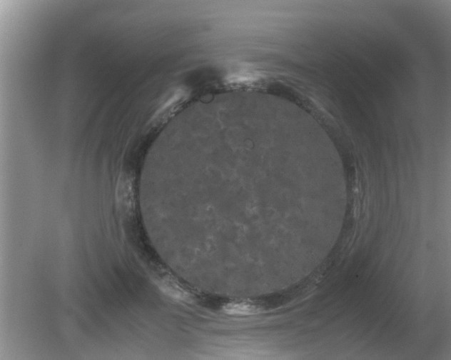 X0000081490699200701191858