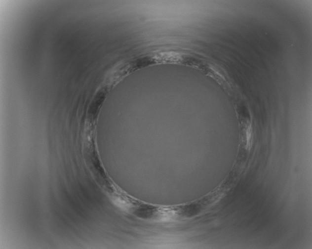 X0000081490701200701191858