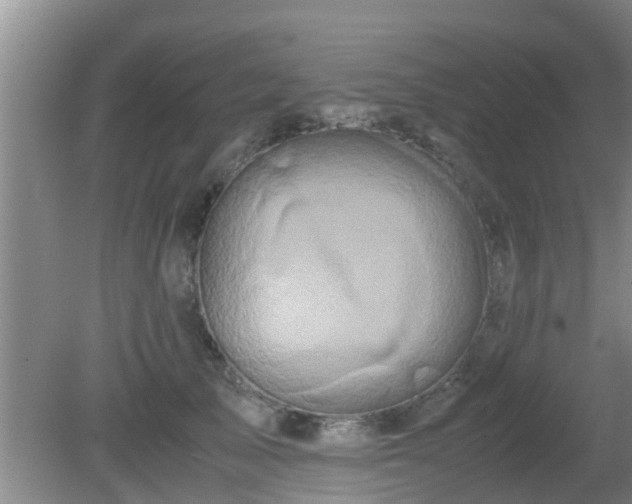 X0000081490705200701191858