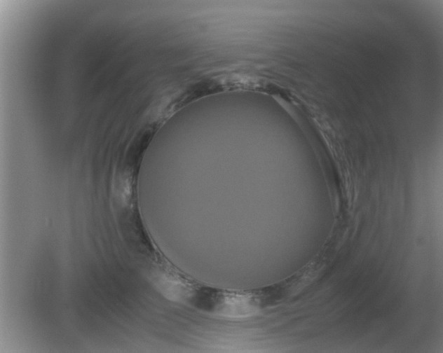 X0000081490709200701191858