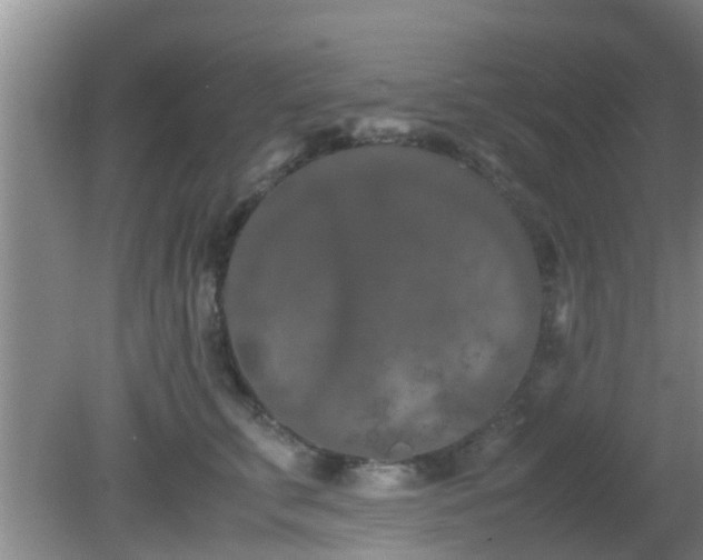 X0000081490711200701191858