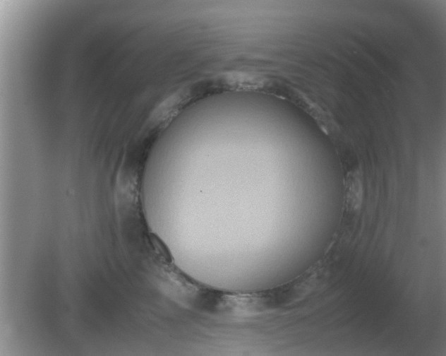 X0000081490713200701191858