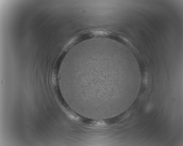 X0000081490715200701191858