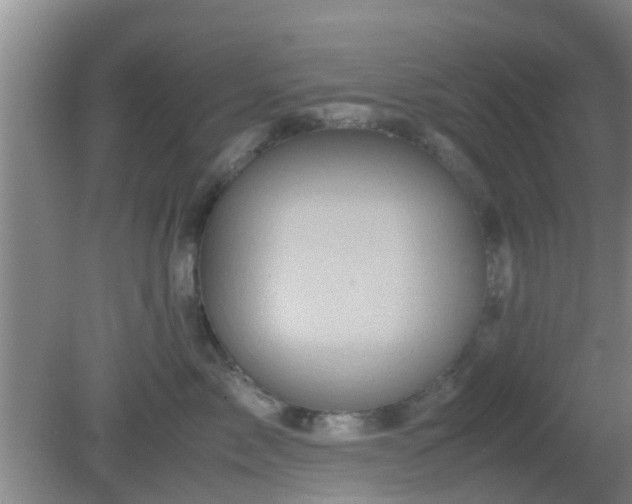 X0000081490717200701191858