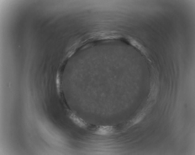 X0000081490720200701191858