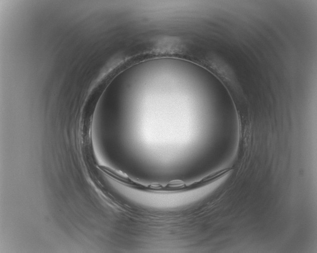 X0000081490722200701191857