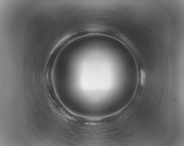 X0000081490723200701191857