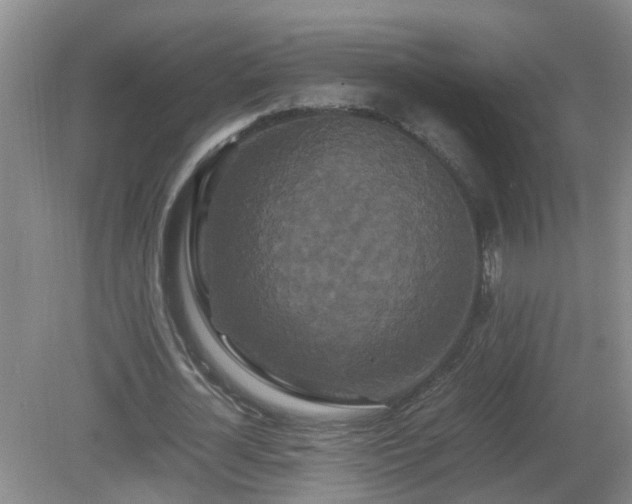 X0000081490724200701191857