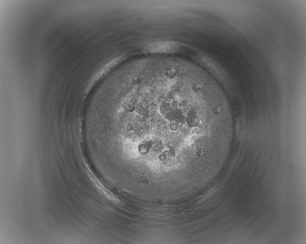 X0000081490725200701191857