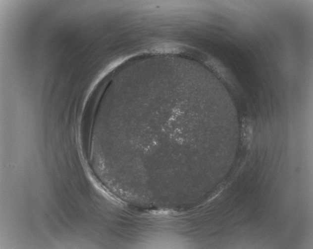 X0000081490726200701191857