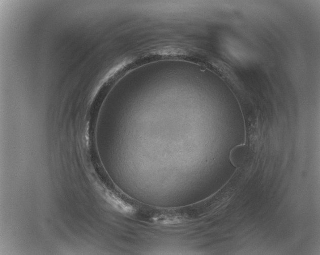 X0000081490727200701191857