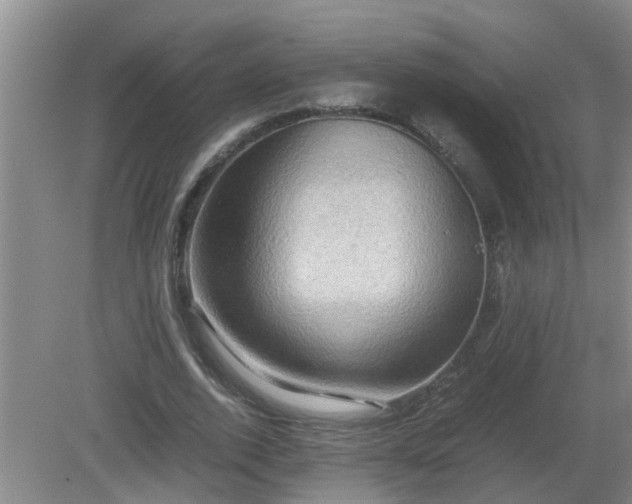 X0000081490728200701191857