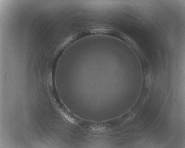 X0000081490729200701191857