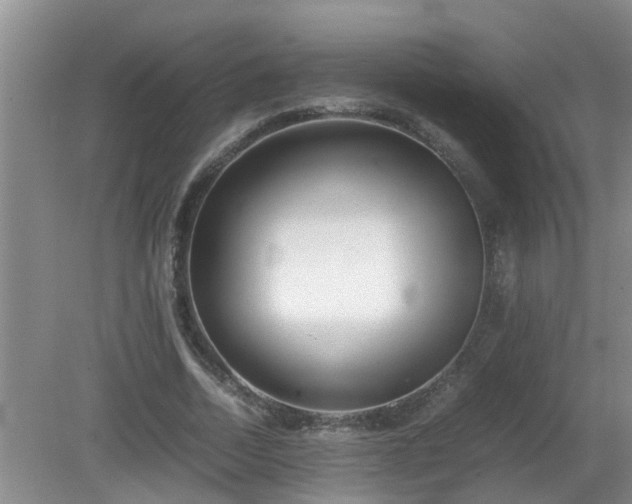 X0000081490730200701191857