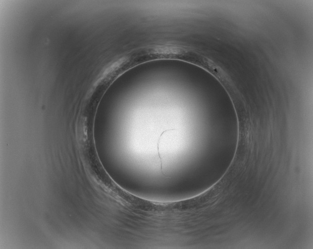 X0000081490731200701191857