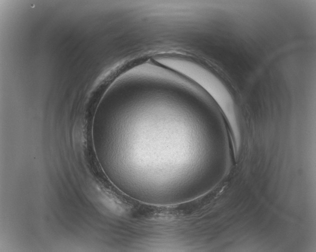 X0000081490732200701191857