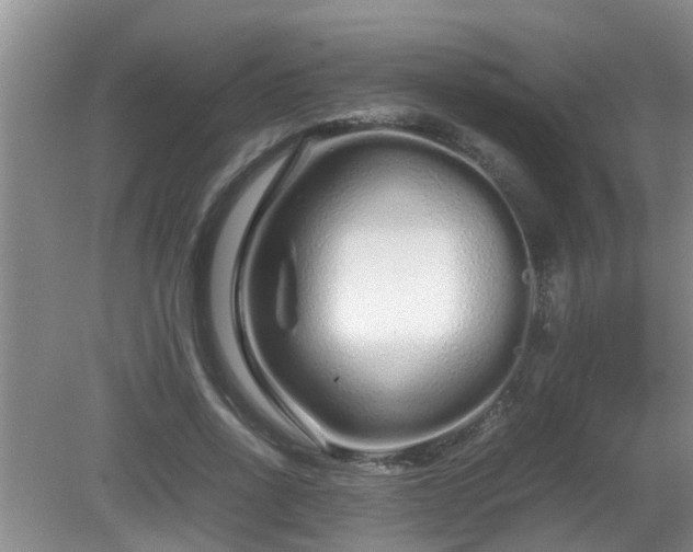 X0000081490734200701191858