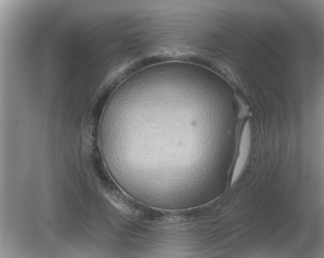 X0000081490736200701191858