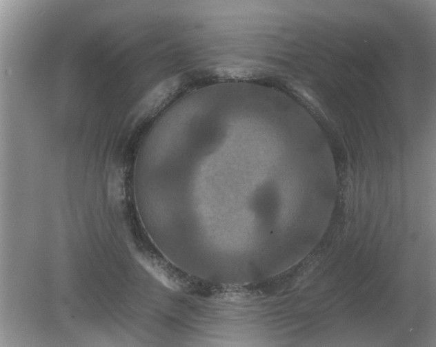 X0000081490738200701191858