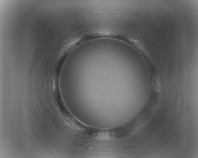 X0000081490740200701191858