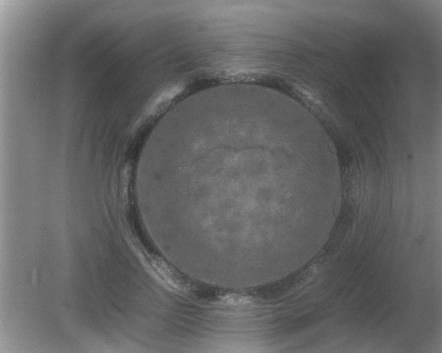 X0000081490742200701191858