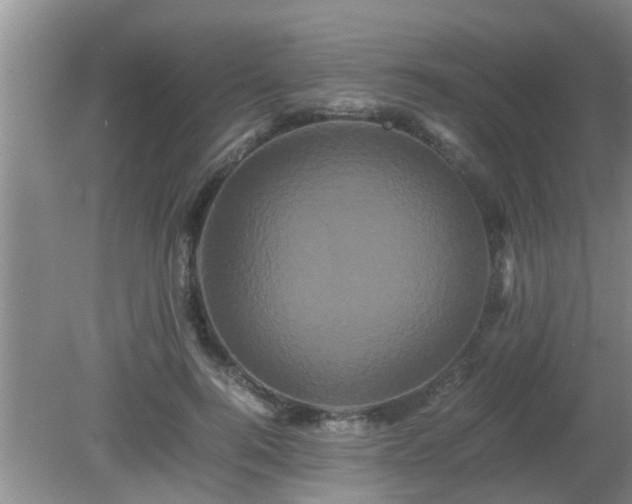 X0000081490744200701191858